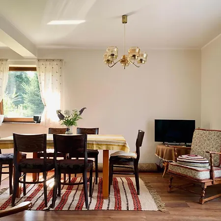 Bursztynowy Prázdninový dům *