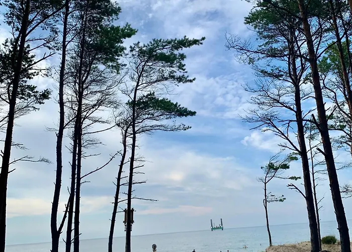 Σπίτι διακοπών Bursztynowy Lubiatowo (Pomerania)